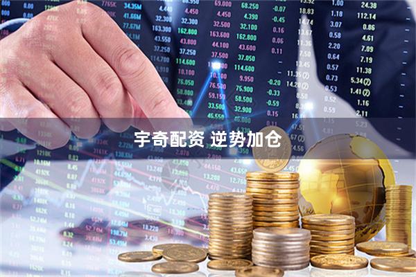 宇奇配资 逆势加仓
